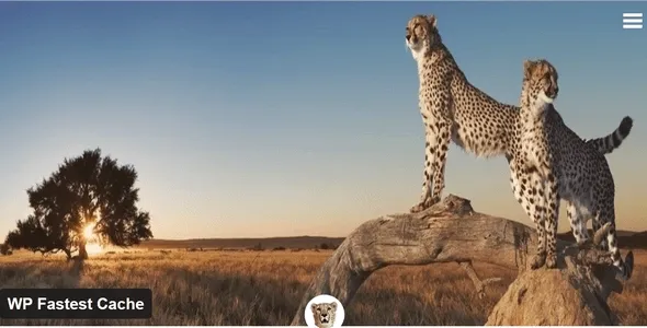 WP Fastest Cache Premium 1.7.0 – WordPress完美缓存插件