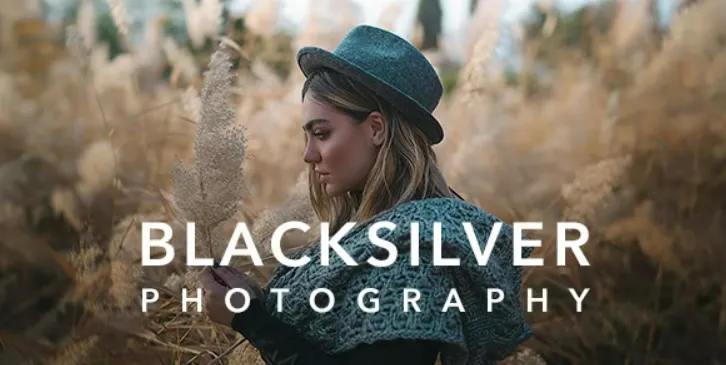 Blacksilver v9.1 – WordPress 摄影/画廊/图库/作品集主题