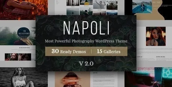 Napoli v2.4.1 – 摄影/图库/照片作品集WordPress主题