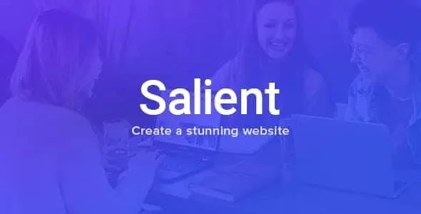 Salient v16.2.0 – 响应式多用途WordPress主题